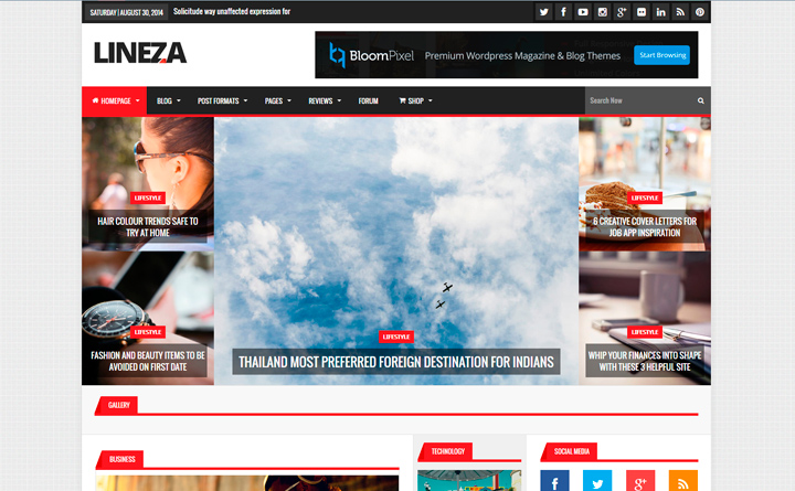 Lineza WordPress theme