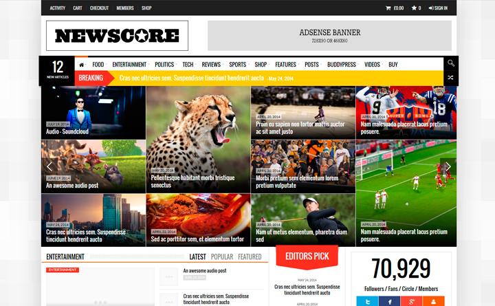 10 Best Professional WordPress Themes for Magazines and News Portals